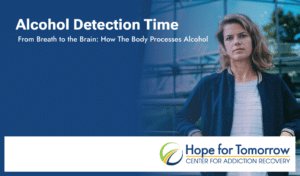 Alcohol Detection Time - From breath to the brain: how the body process alcohol