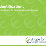 meth identification how to recognize one of the most dangerous substances hope for tomorrow